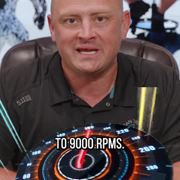 Should You Get a Belgian Malinois?