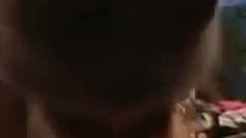 Angry dog growling LA LA LA LA