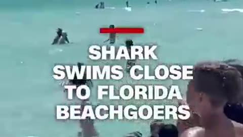 Florida Beachgoers