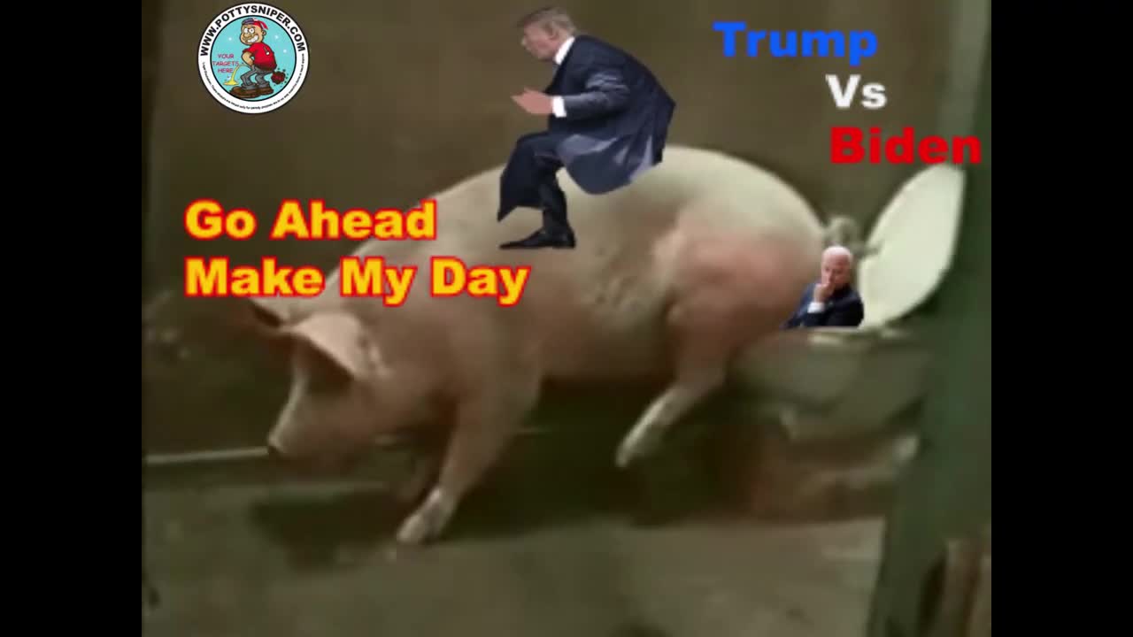 funny pig clip. please subscribe and follow.