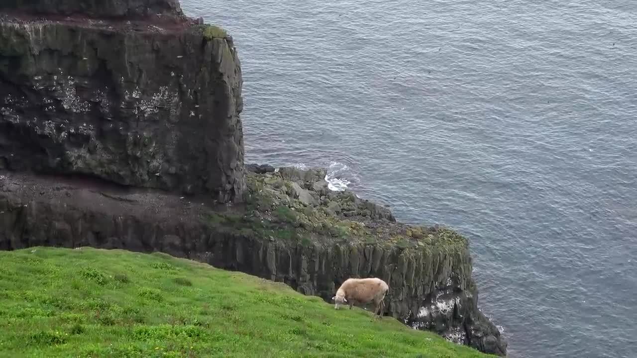 Mykines, Faroe Islands_ Puffins and Landscapes [Amazing Places 4K]