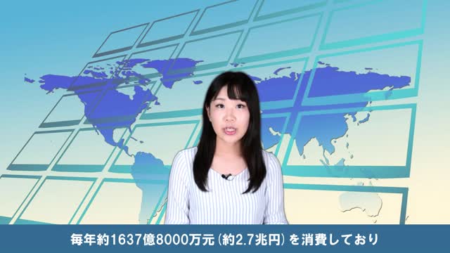 上海の小中学校、英語テスト廃止＝洗脳強化か