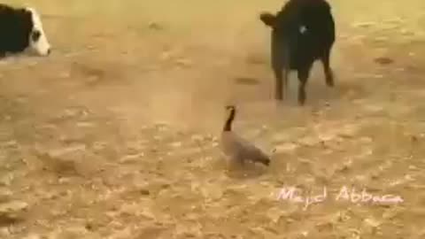 Believe in Yourself Even if You're Small #shorts #viral #shortsvideo #video
