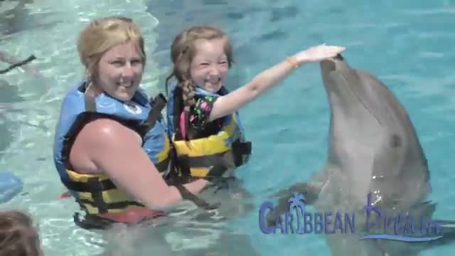 Dolphin Royal - Punta Cana Tours_Cut