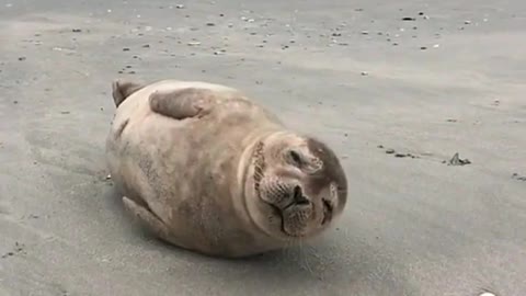 A very happy fella 😊