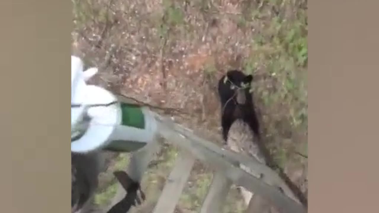 Canadians Being Idiots | Funny Fails