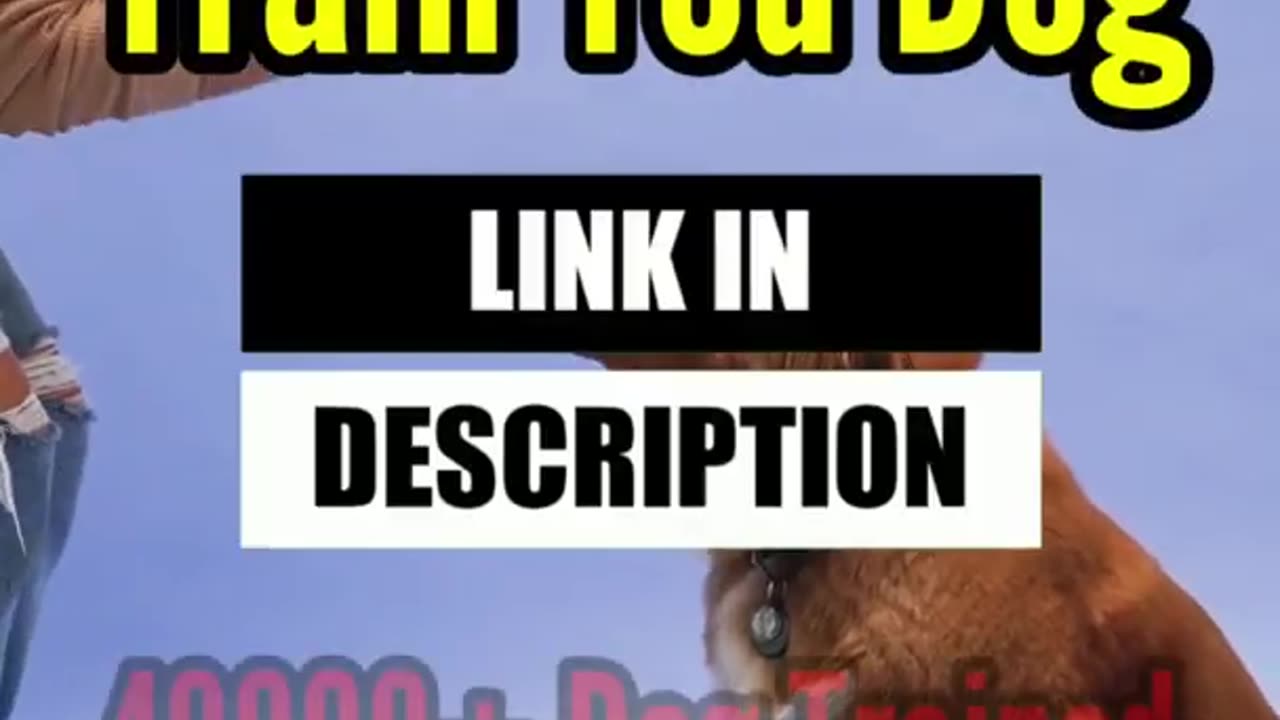 Dogs Funny Video, Dog Training Video, Dog Barking #shorts #dogs #funny