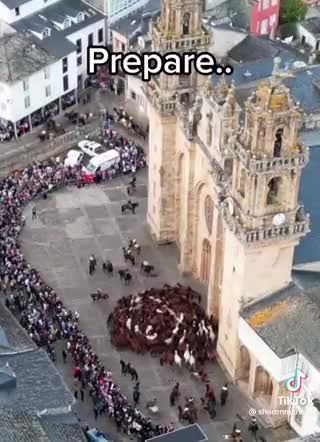 Qualcosa sta Arrivando - Animali Girano in Cerchio in ogni parte del modo