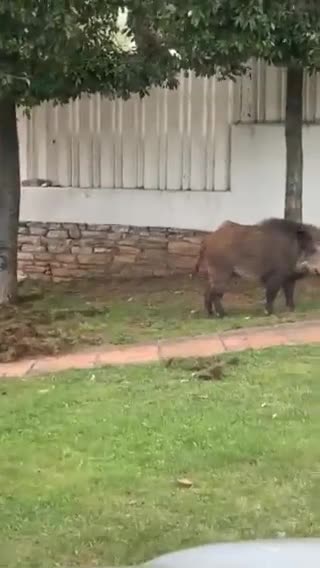 Από κήπο στην Εκάλη