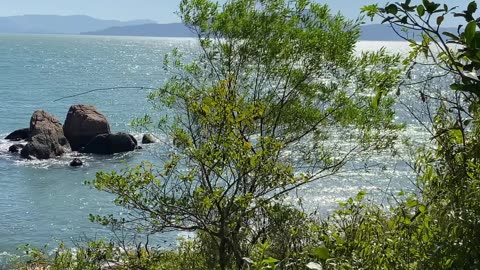 2/15 - Guiando você pelo paraíso: Praia da Ponta dos Ganchos em Governador Celso Ramos
