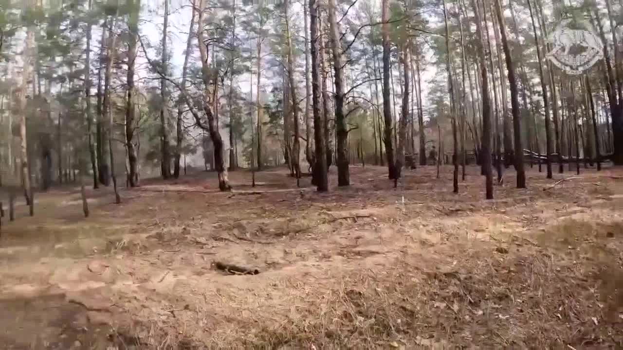 Battle through the eyes of the SSO. Hunting for "Tigers". One combat vehicle was burned, the pers