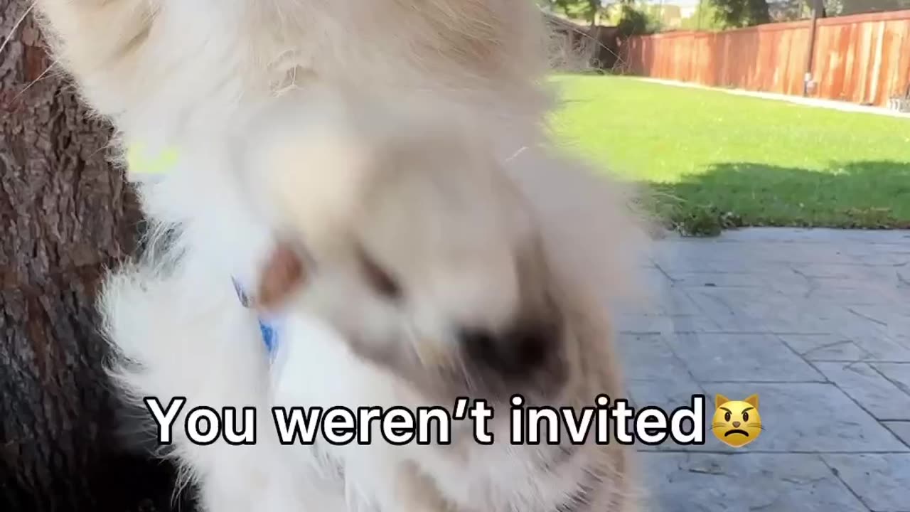 You 'll never be invited 😜 #video