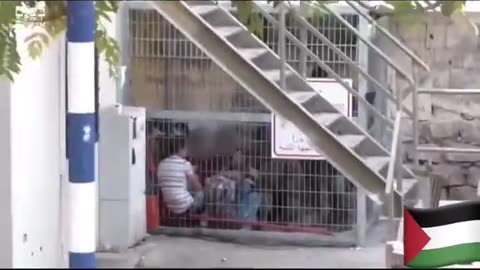 Israeli IOF putting Palestinian kids into small CAGES like animals!