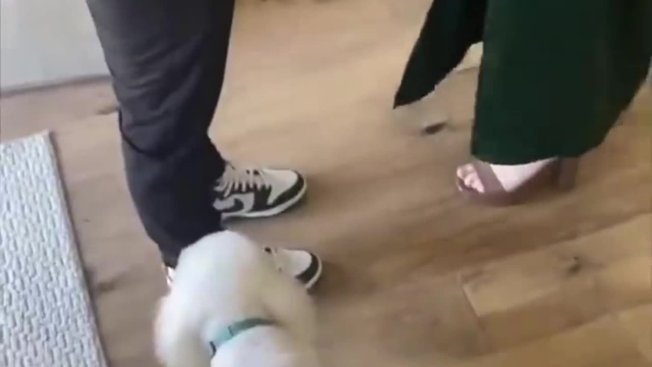 Fun clip