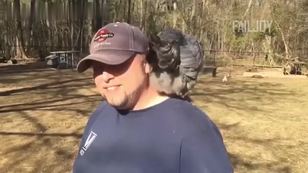 Best Fails of The Day: Funniest Fails Compilation 5
