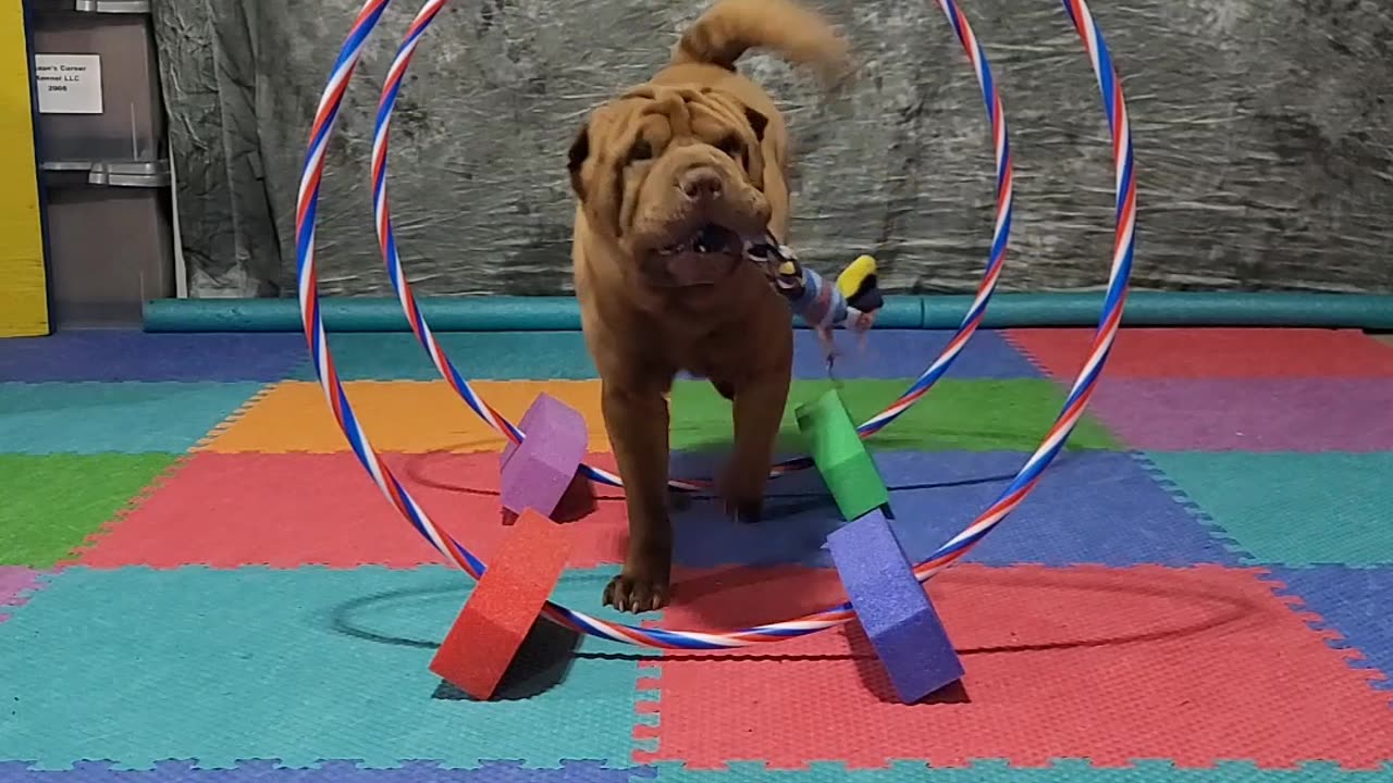 Aurora's May 2023 Spell-it "FLOWERS"