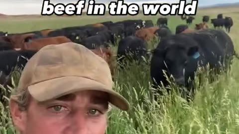 We Have the Rarest Beef in the World!