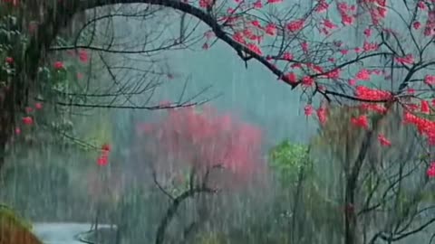#Useful#Beautiful#Funny #Funny video#laugh# interesting#video#short video#short#short cut