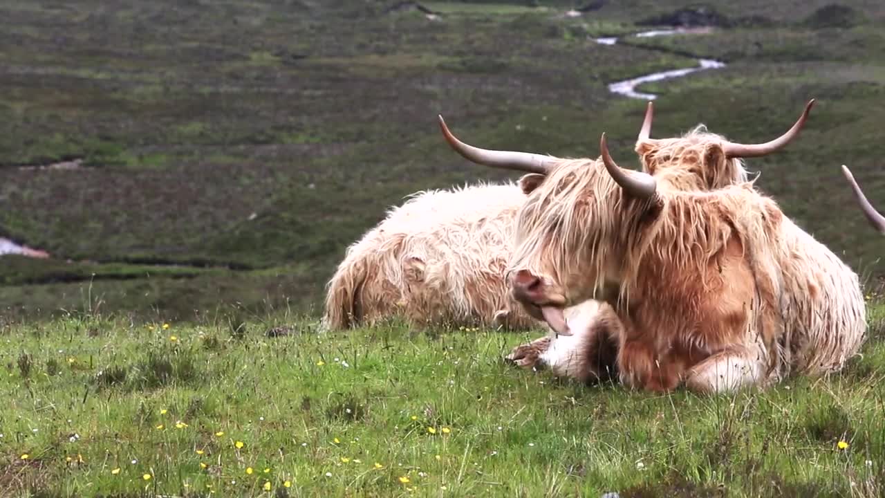 BEAUTIFUL SCOTLAND Drone Aerial View Free stock footage Free HD Videos