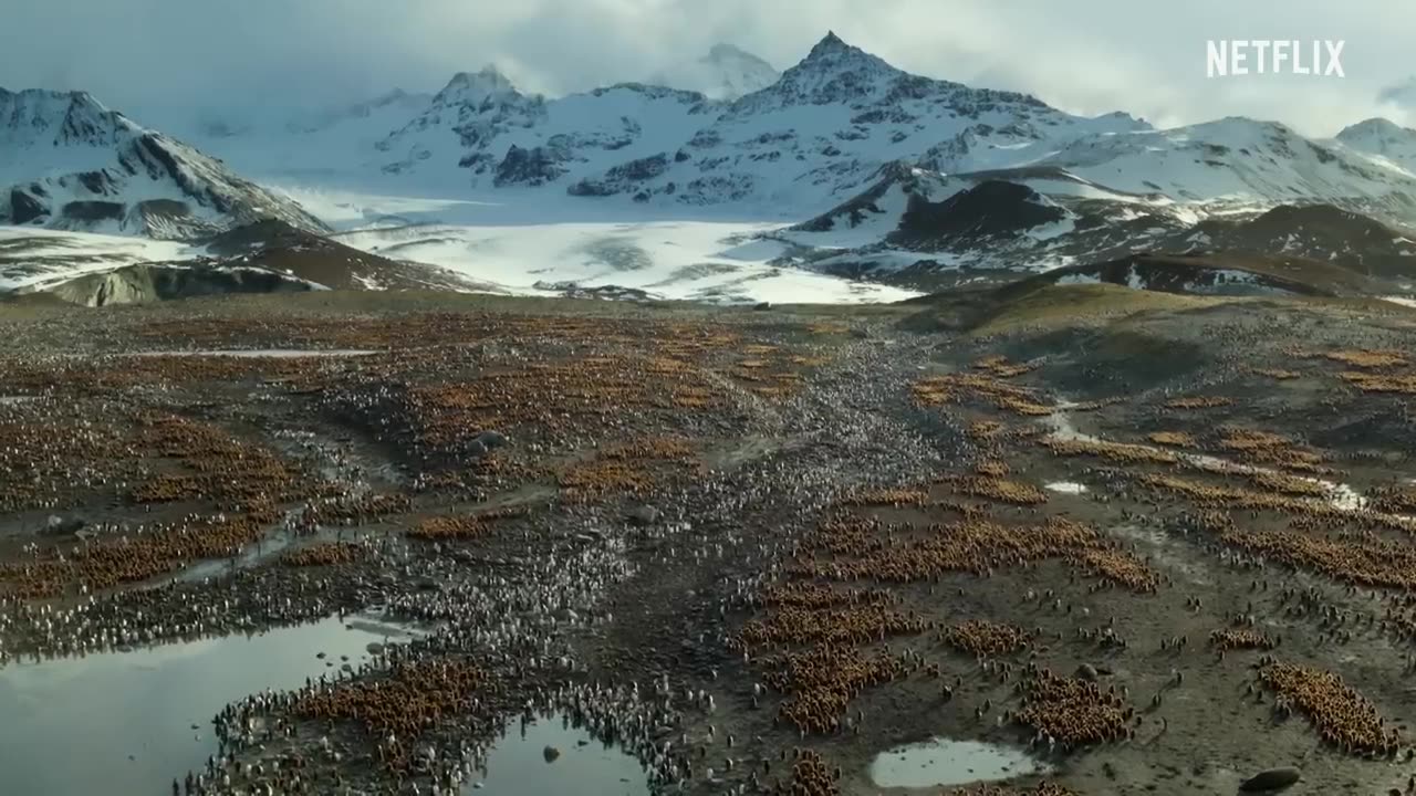 our planet