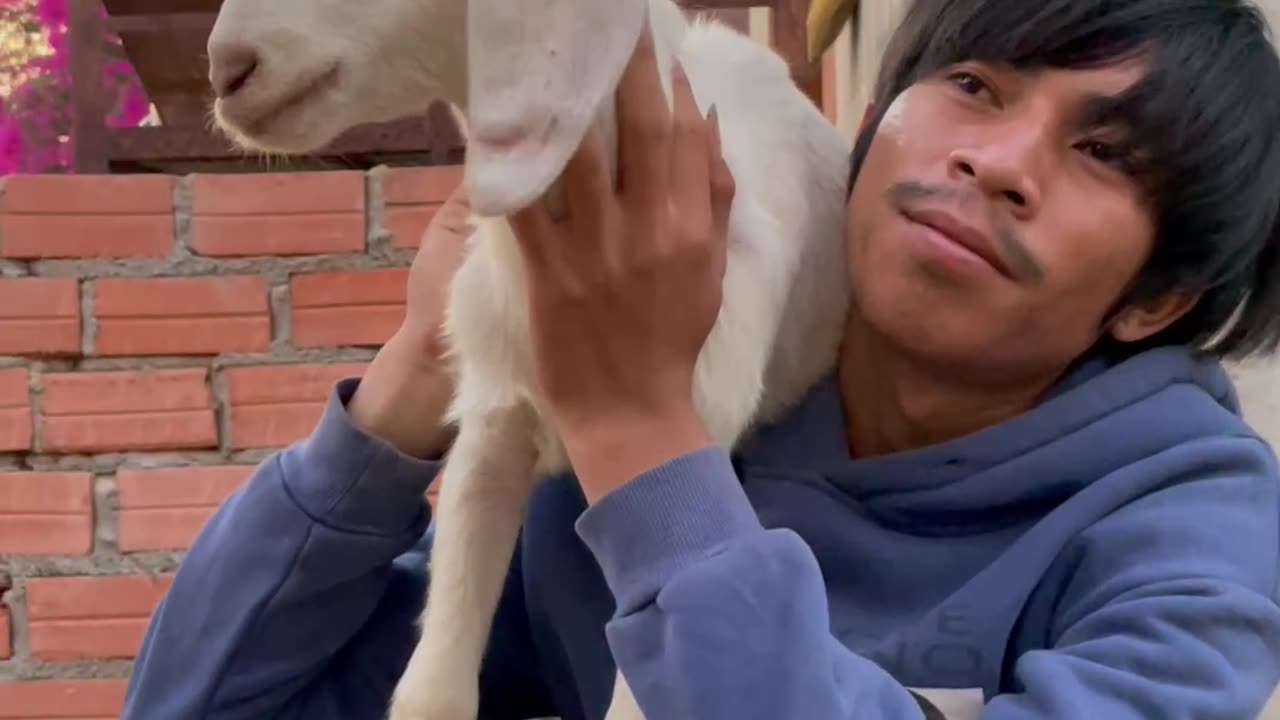 so beautiful goat, and lovely owner1