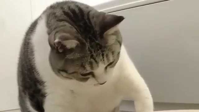 I'm already so fat. Let's stop eating and drink some water