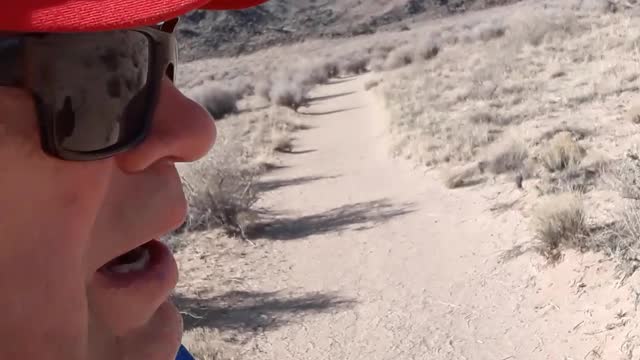 "There is a way which seems right.." Rincondada Canyon Trail Albuq,NM 1/19/23