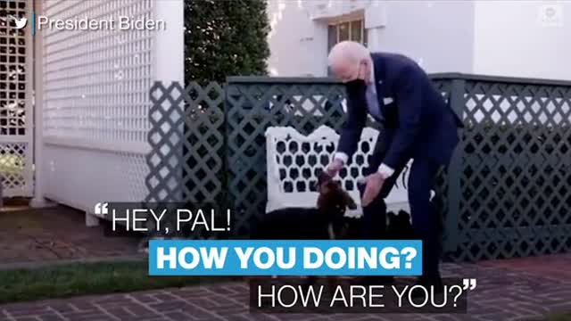 COMMANDER IN TREATS introduces his new four-legged family member to the world.