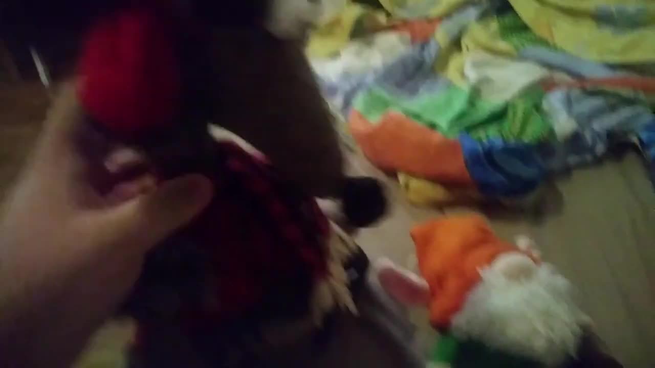 Wawa Et Wawo Rencontre Rabougris! (Reupload)
