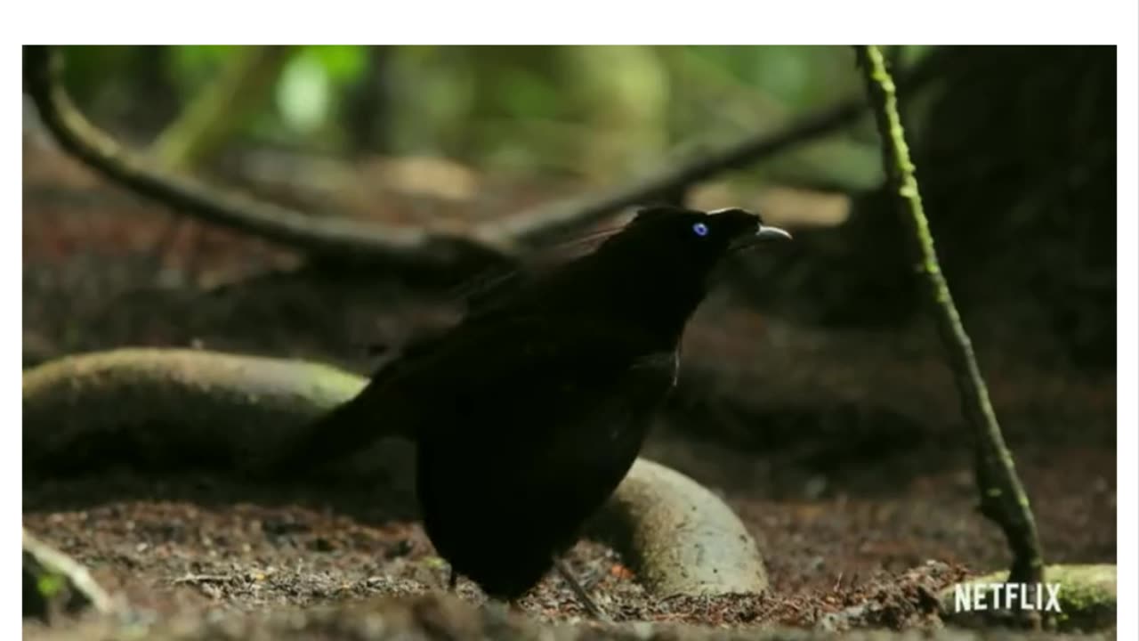 That’s a lot of work.