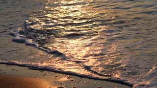 Golden Sand and Sea