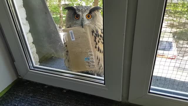 New delivery method