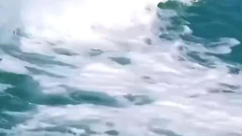 Babies came to say hi 👋!