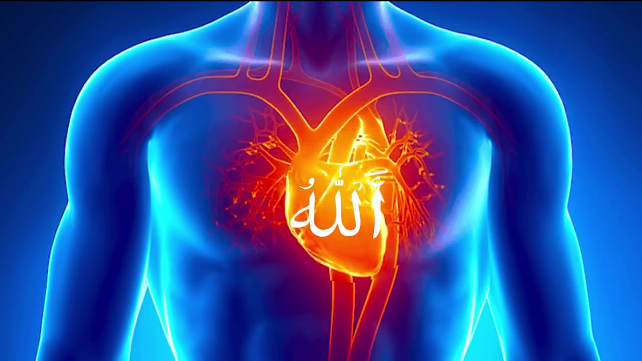 Dhikr - Heart-pulsing, continuous repetition of the name 'Allah'.