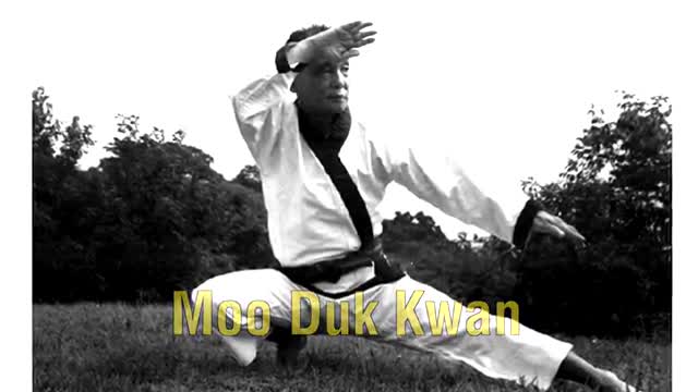 The Origin of Taekwondo | ART OF ONE DOJO