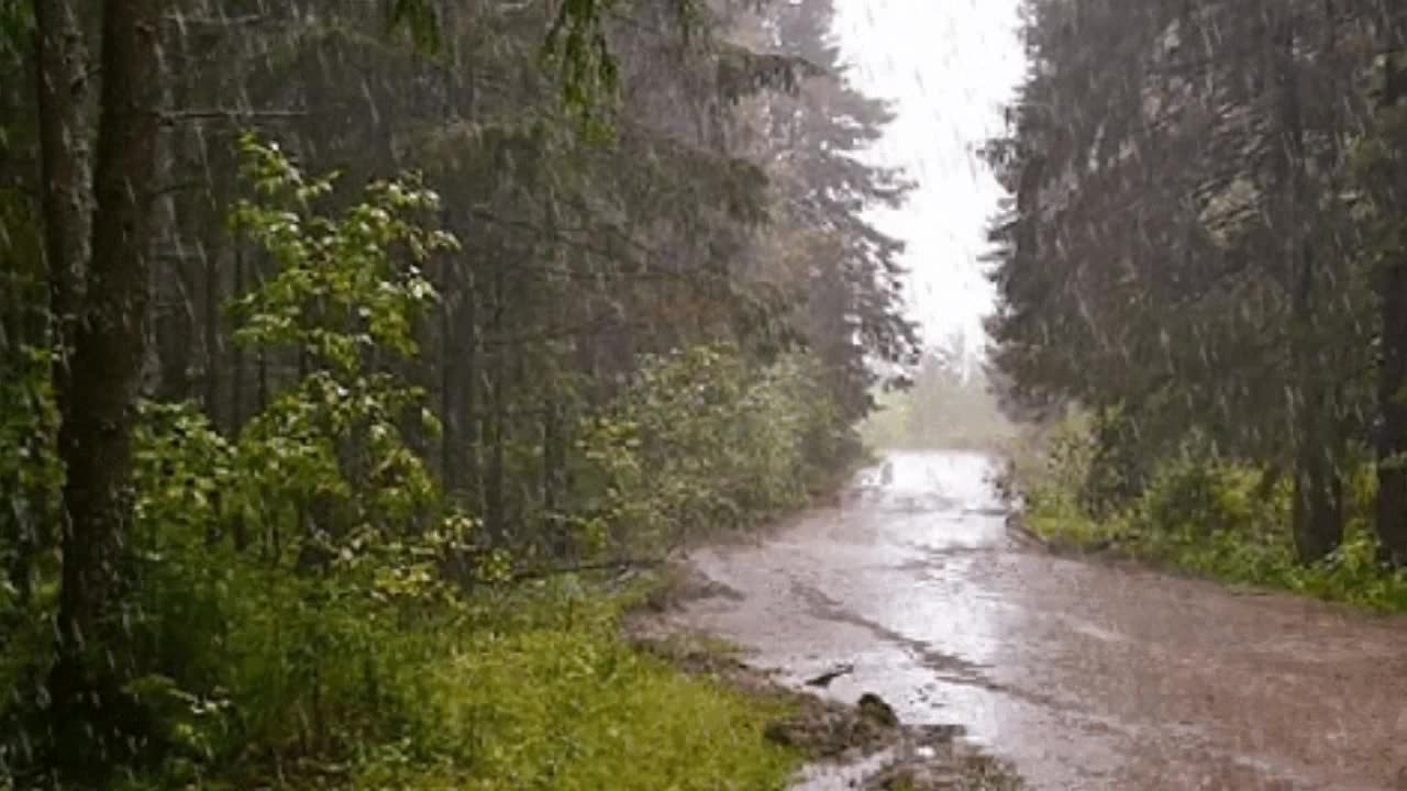 The sound of morning drizzle makes me want to stay in bed