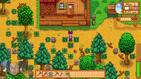 stardew valley