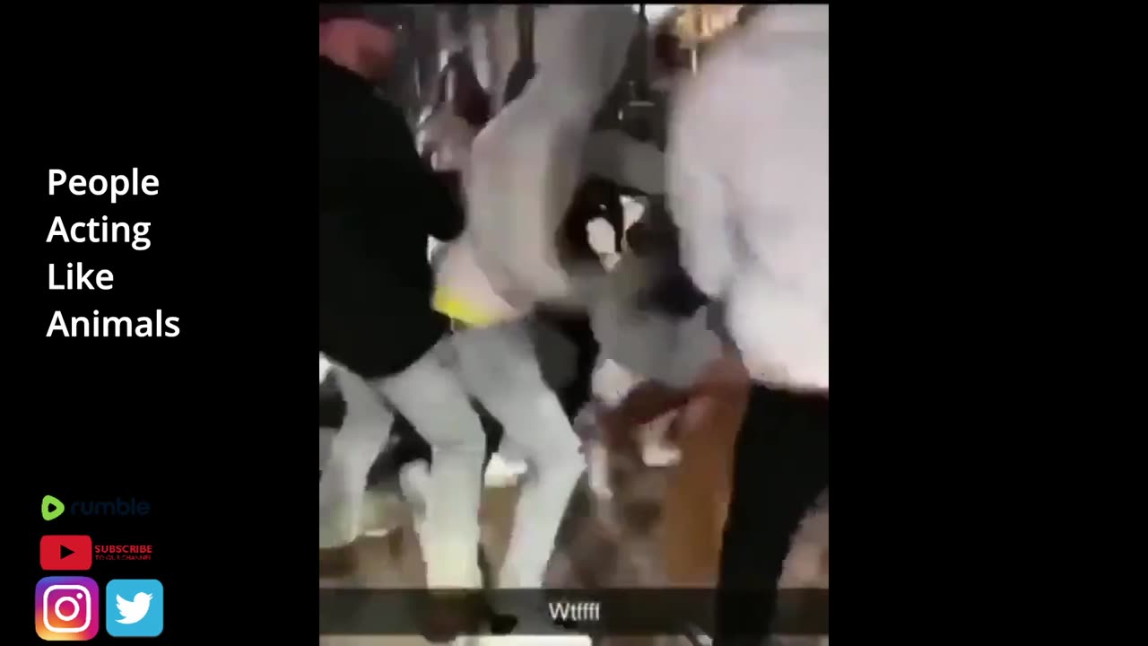 People acting like Animals part 5
