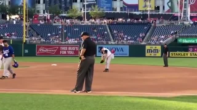 Steve Scalise rocks the crowd, throws first pitch one year after shooting