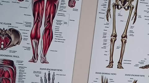 Heat & cold on muscles & bones