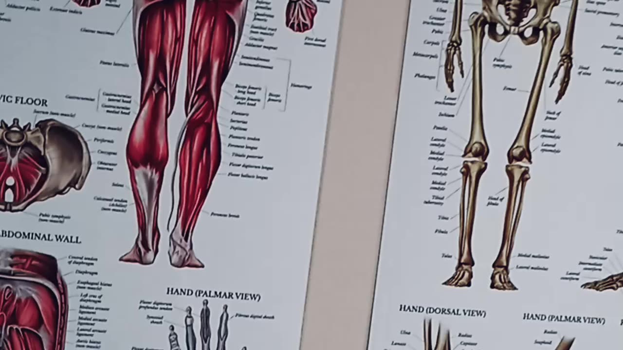Heat & cold on muscles & bones