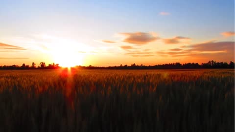 Sunset stunning video