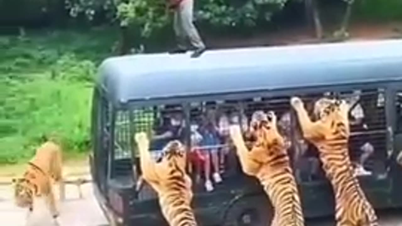 Tiger caught the taret