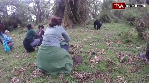Visit Africa