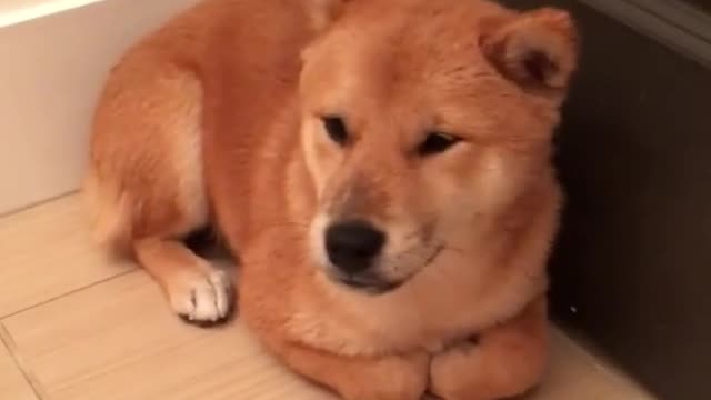 Hugo