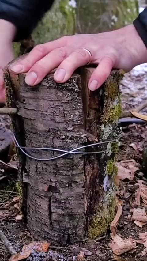 ΤΕΤΟΙΟ ΜΑΓΕΙΡΕΜΑ ΔΕΝ ΕΧΕΤΕ ΞΑΝΑΔΕΙ.