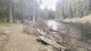 Lower Bridge to Pioneer Ford – Metolius River – Central Oregon – 4K