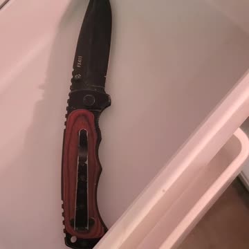 The most amazing item found in the fridge