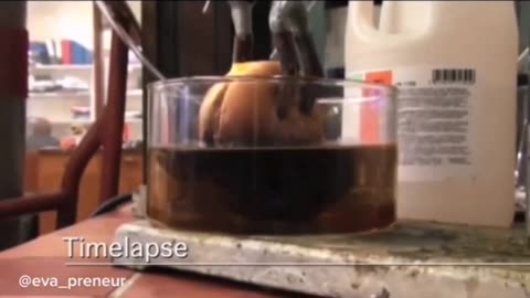 McDonald's Hamburger Sits In Stomach Acid For Hours; Watch What Happens