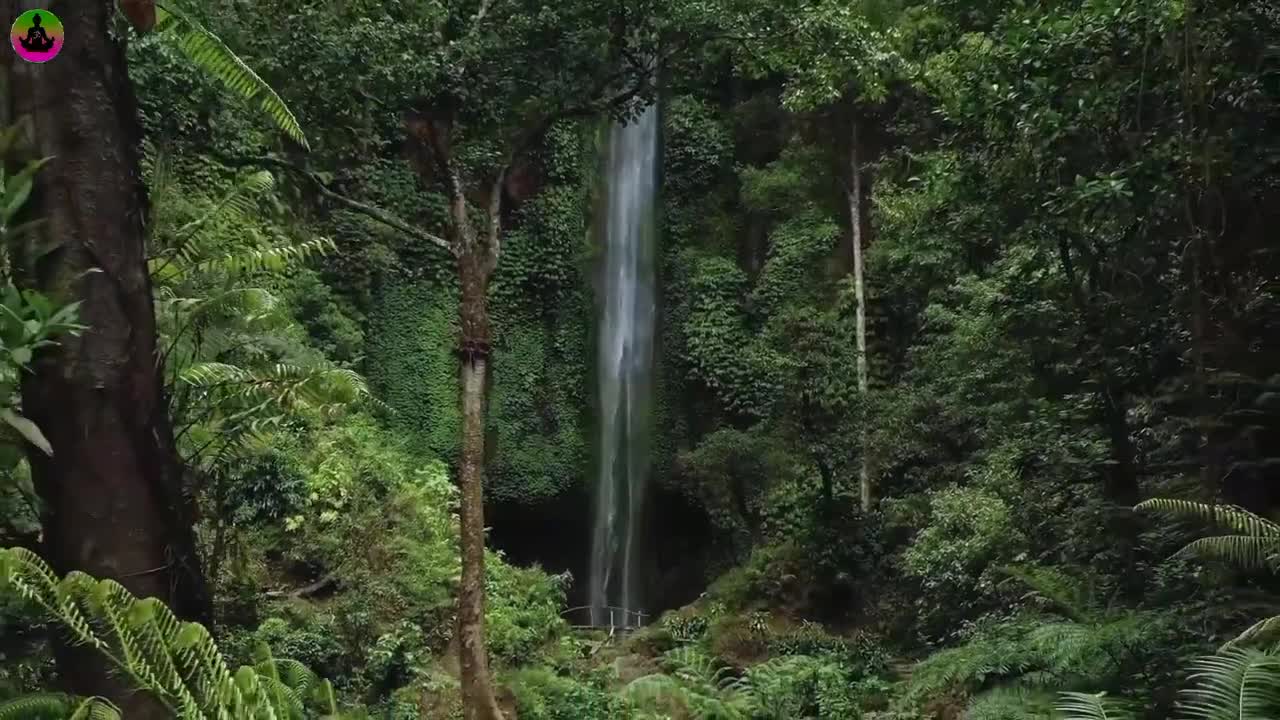 Relaxing Music | Sleeping, Meditation, Stress Relief | [1180] ⭐️